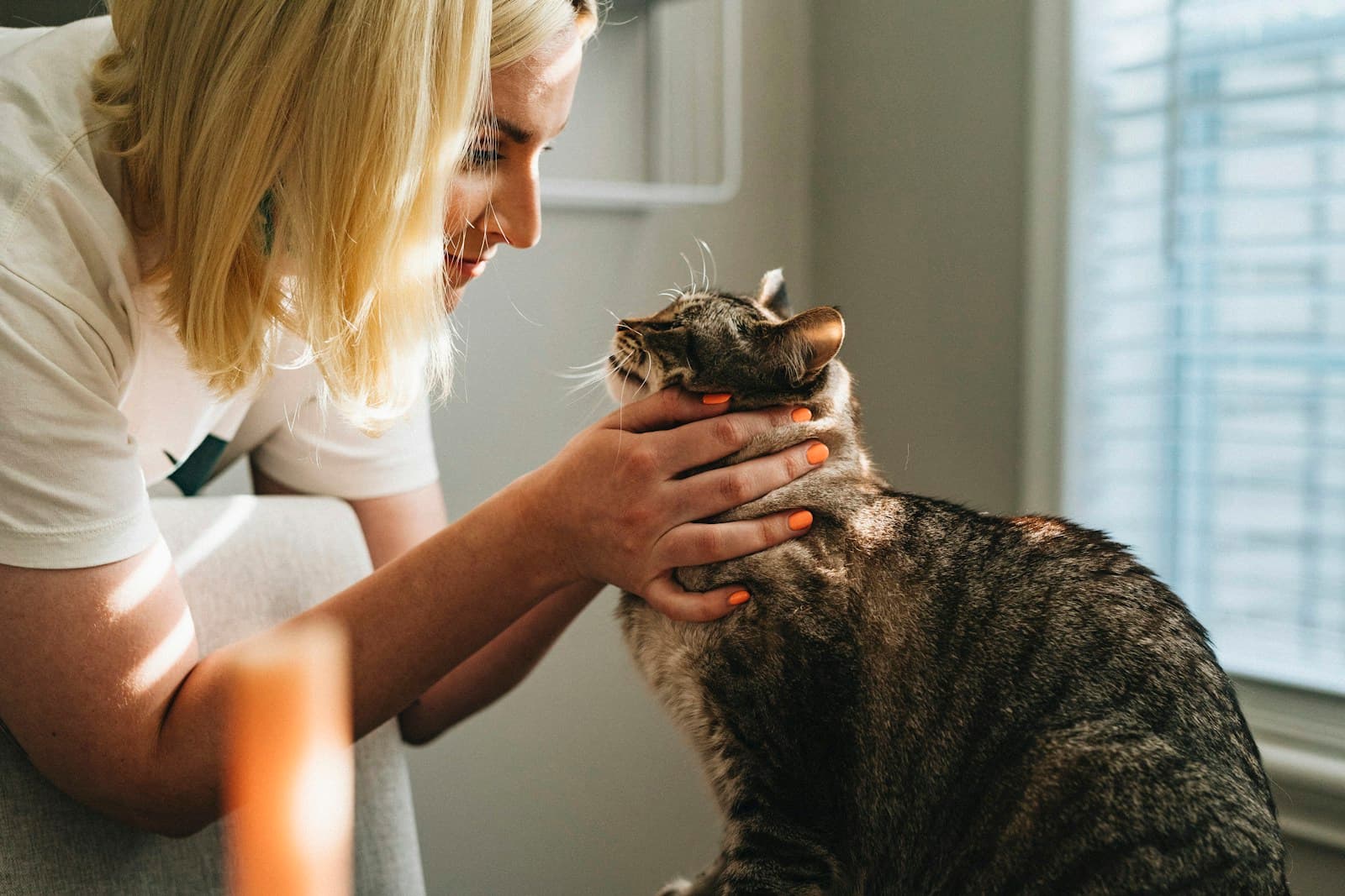 Pets Heaven animal care